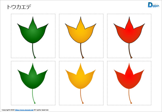 トウカエデの葉っぱのイラスト画像1