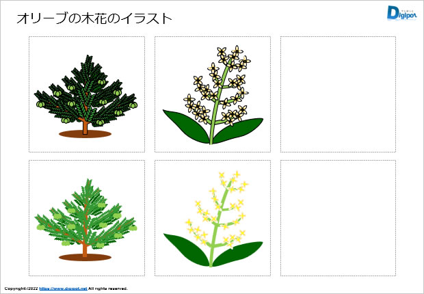 オリーブの木花のイラスト画像1