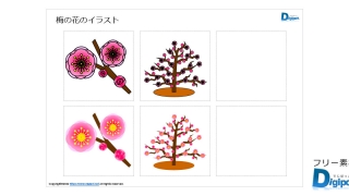 梅の花のイラスト画像