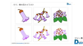 キリ、桐の花のイラスト画像